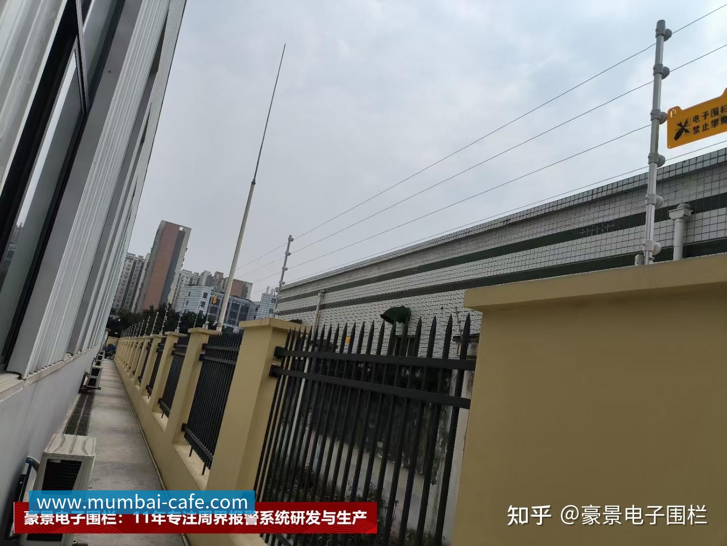 飞盘专题：深入解析上海飞盘队的战术与技术创新之路